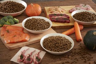 營養(yǎng)健康咨詢 2019年度寵物食品行業(yè)的核心盈利增長點